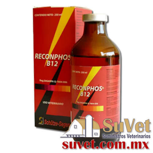 RECONPHOS B12 frasco de 250 ml - SUVET