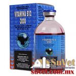 Vitamina B12 3000 frasco de 30 ml - SUVET