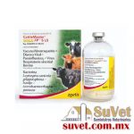 CATTLE MASTER GOLD FP 5+L5 frasco de 25 ds - SUVET