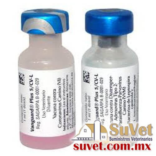 Vanguard Plus 5/CV-L Blister con 25 dósis de 1 ml - SUVET