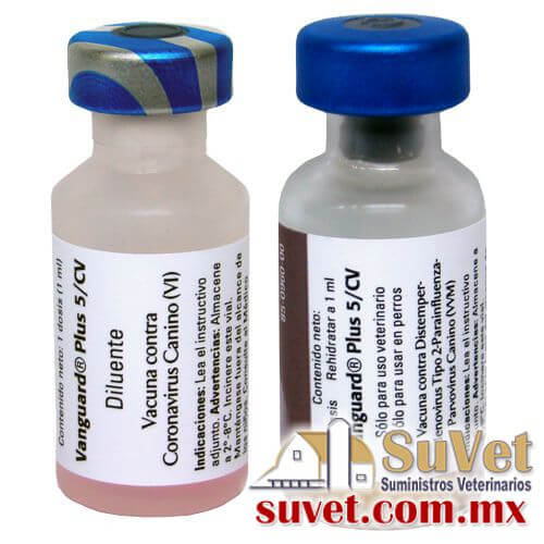 Vanguard Plus 5/CV Blister con 25 dósis de 1 ml - SUVET