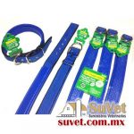 Collar para Perro COLORES #6 4