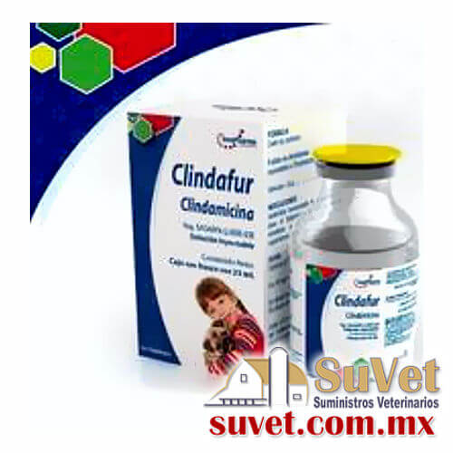Clindafur (Sobre pedido) frasco de 25 ml - SUVET