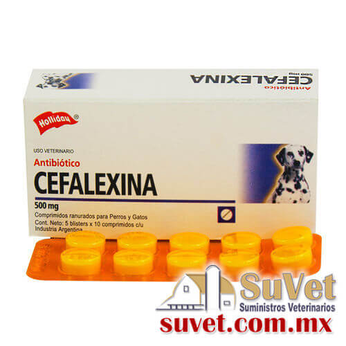 Cefalexina 500 mg caja con 3 blisters de 10 tabletas - SUVET