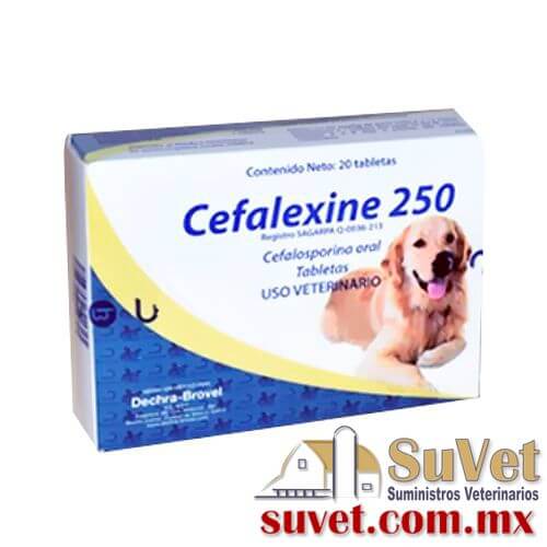 Cefalexine 250 mg  caja de 20 tabletas - SUVET