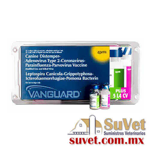 Vanguard Plus 5/L4/CV dósis de 1 ml - SUVET