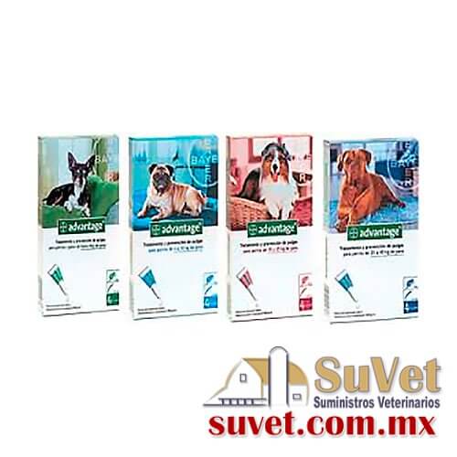 Advantage 40 kg pipeta de 4  ml - SUVET