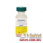 GiardiaVax Sobre Pedido dósis de 1 ml - SUVET