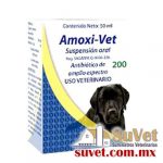 Amoxi-Vet Suspensión Oral frasco de 50 ml - SUVET