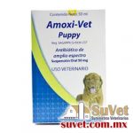 Amoxi-Vet Puppy frasco de 50 ml - SUVET