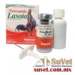 NEWCASTLE VIRUS VIVO CEPA LA SOTA Maver frasco de 500 dosis - SUVET