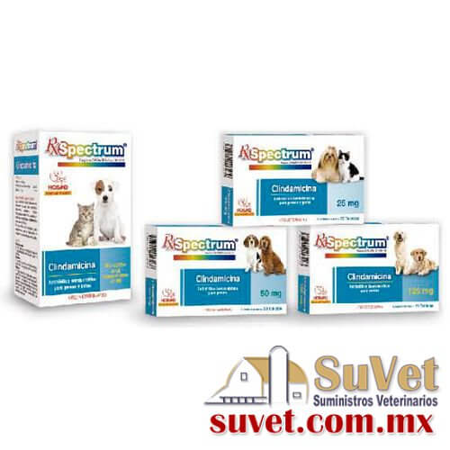RX SPECTRUM CLINDAMICINA 25 mg caja con 20 tabletas de 25 mg - SUVET
