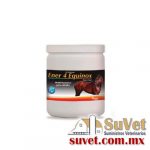 Ener 4 Equinox 1Kg bote de 1 kg - SUVET