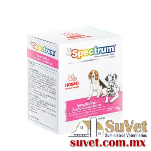 RX SPECTRUM AMOXICILINA + ACIDO CLAVULANICO caja con 20 tabletas de 250 mg - SUVET