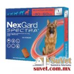 Nexgard Spectra XL 1 masticable 30