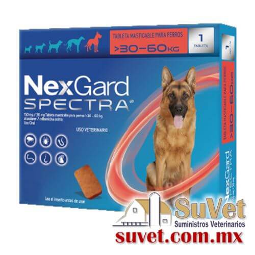 Nexgard Spectra XL 1 masticable 30