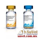 RECOMBITEK C7 Sobre pedido y disponibilidad estuche con 25 dosis de 1 ml - SUVET