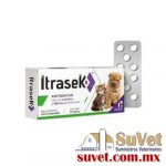 Itrasek agotado caja con 20 tabletas de 100 mg - SUVET