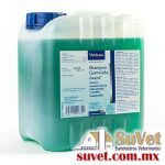 Shampoo Germicida Avant Bidón de 4 lt - SUVET