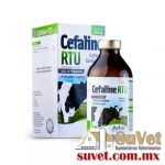 Cefaline RTU frasco de 250 ml - SUVET