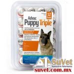 Advac Puppy Triple blister con 12 dosis de 1 ml - SUVET