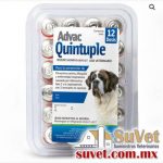 Advac Quintuple blister con 12 dosis de 1 ml - SUVET
