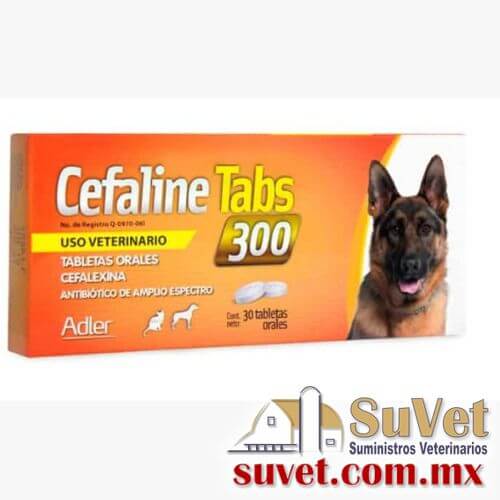 Cefaline tabs 300 caja de 30 tabs  - SUVET