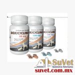 Doxiciclina 50 mg frasco  de 100 tabs - SUVET