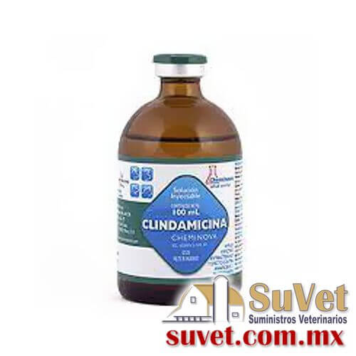 Clindamicina Chemoniva frasco de 100 ml - SUVET