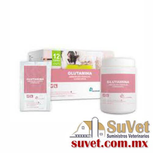 Glutamina Polvo Oral Sobre pedido y disponibilidad caja con 12 sobres de 12.5 gr - SUVET