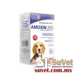 Amoxin 250  frasco de 30 ml  - SUVET